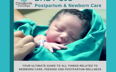 Baby 101: Postpartum & Newborn Care Class In Person Orlando 2026