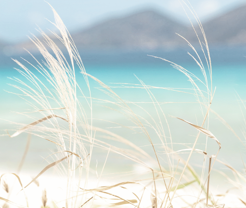 Peace of Mind in Pregnancy: A Reflection Guide for Expectant Parents